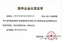 软件企业认定证书